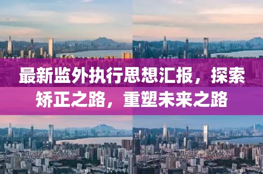 最新監(jiān)外執(zhí)行思想匯報，探索矯正之路，重塑未來之路