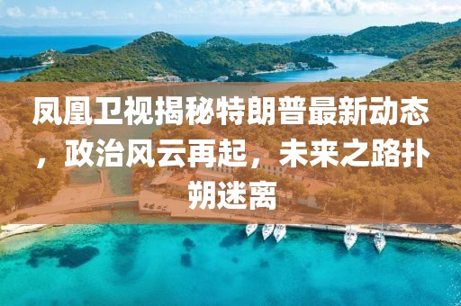 鳳凰衛(wèi)視揭秘特朗普最新動態(tài)，政治風(fēng)云再起，未來之路撲朔迷離