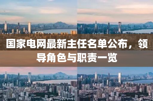 國家電網(wǎng)最新主任名單公布，領(lǐng)導(dǎo)角色與職責(zé)一覽