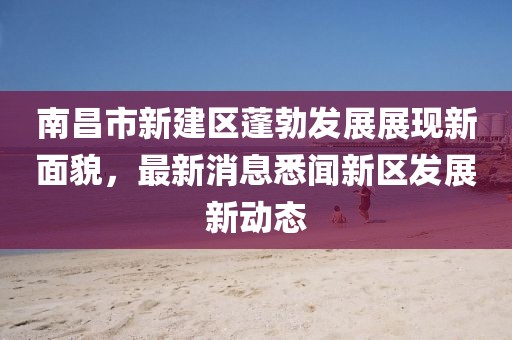 南昌市新建區(qū)蓬勃發(fā)展展現(xiàn)新面貌，最新消息悉聞新區(qū)發(fā)展新動態(tài)