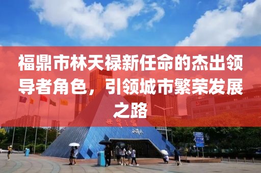 福鼎市林天祿新任命的杰出領(lǐng)導(dǎo)者角色，引領(lǐng)城市繁榮發(fā)展之路