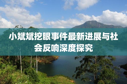 小斌斌挖眼事件最新進(jìn)展與社會(huì)反響深度探究