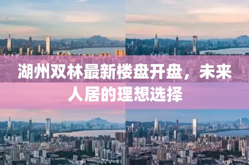 湖州雙林最新樓盤(pán)開(kāi)盤(pán)，未來(lái)人居的理想選擇