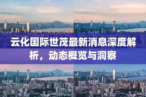 云化國際世茂最新消息深度解析，動態(tài)概覽與洞察