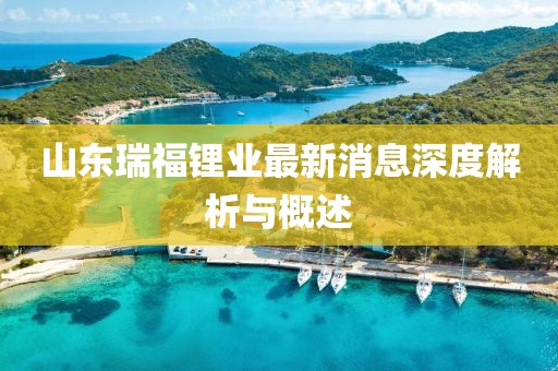 山東瑞福鋰業(yè)最新消息深度解析與概述