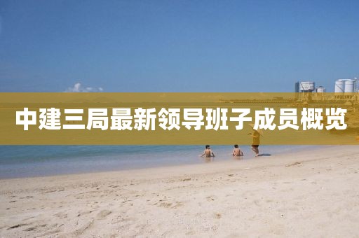 中建三局最新領(lǐng)導(dǎo)班子成員概覽
