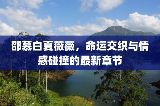 邵慕白夏薇薇，命運(yùn)交織與情感碰撞的最新章節(jié)