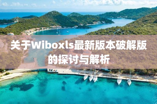 關(guān)于Wiboxls最新版本破解版的探討與解析