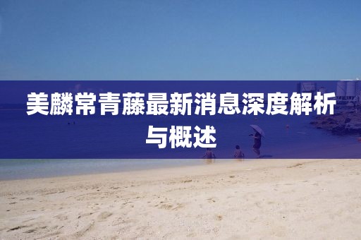 美麟常青藤最新消息深度解析與概述
