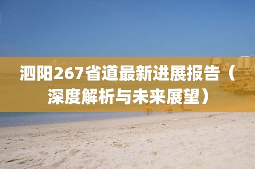 泗陽267省道最新進(jìn)展報(bào)告（深度解析與未來展望）