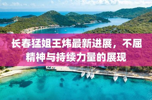 長(zhǎng)春猛姐王煒最新進(jìn)展，不屈精神與持續(xù)力量的展現(xiàn)