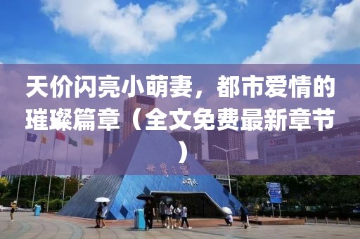 天價(jià)閃亮小萌妻，都市愛情的璀璨篇章（全文免費(fèi)最新章節(jié)）