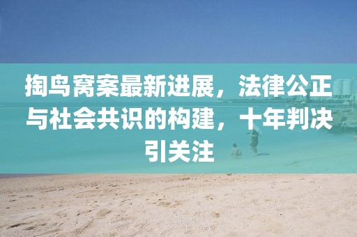 掏鳥窩案最新進展，法律公正與社會共識的構建，十年判決引關注