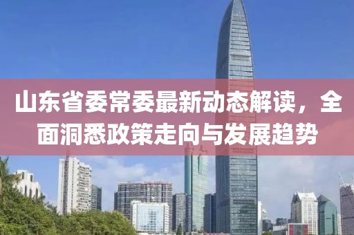 山東省委常委最新動態(tài)解讀，全面洞悉政策走向與發(fā)展趨勢