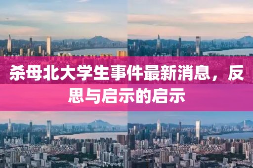 殺母北大學(xué)生事件最新消息，反思與啟示的啟示