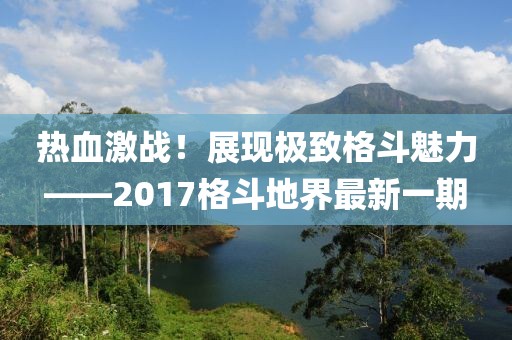 熱血激戰(zhàn)！展現(xiàn)極致格斗魅力——2017格斗地界最新一期
