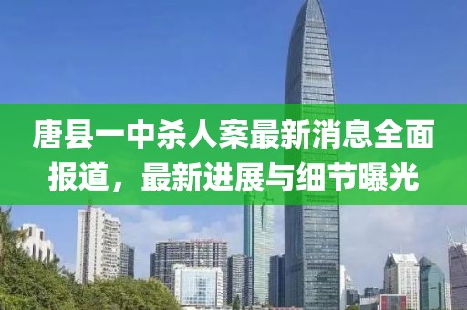 唐縣一中殺人案最新消息全面報道，最新進展與細節(jié)曝光