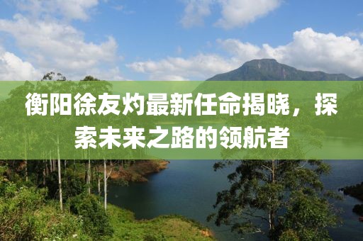 衡陽徐友灼最新任命揭曉，探索未來之路的領(lǐng)航者