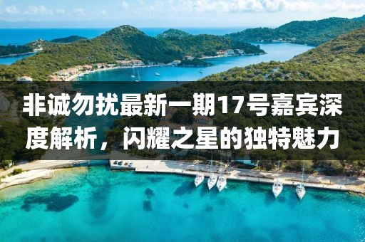 非誠勿擾最新一期17號嘉賓深度解析，閃耀之星的獨特魅力