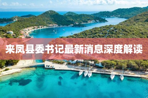 來鳳縣委書記最新消息深度解讀