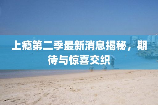 上癮第二季最新消息揭秘，期待與驚喜交織
