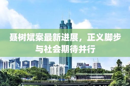 聶樹(shù)斌案最新進(jìn)展，正義腳步與社會(huì)期待并行