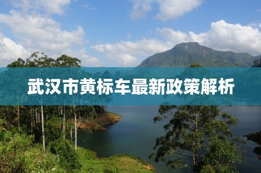 武漢市黃標車最新政策解析