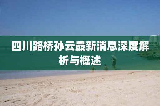 四川路橋?qū)O云最新消息深度解析與概述