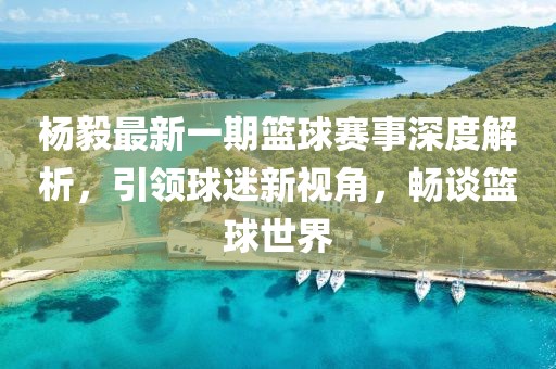 楊毅最新一期籃球賽事深度解析，引領(lǐng)球迷新視角，暢談籃球世界