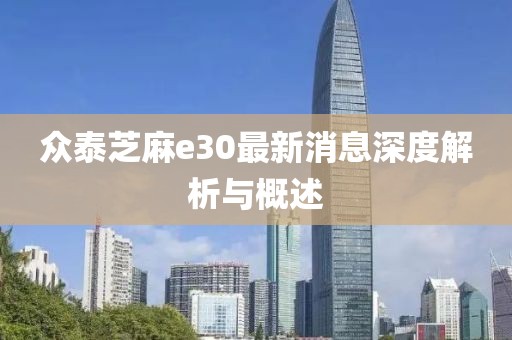 眾泰芝麻e30最新消息深度解析與概述
