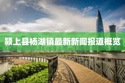 潁上縣楊湖鎮(zhèn)最新新聞報(bào)道概覽