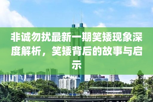 非誠勿擾最新一期笑矮現(xiàn)象深度解析，笑矮背后的故事與啟示