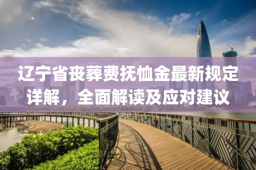 遼寧省喪葬費撫恤金最新規(guī)定詳解，全面解讀及應對建議
