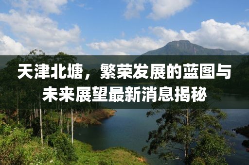 天津北塘，繁榮發(fā)展的藍(lán)圖與未來展望最新消息揭秘