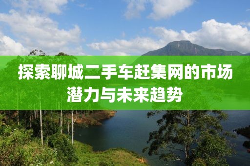 探索聊城二手車趕集網(wǎng)的市場潛力與未來趨勢