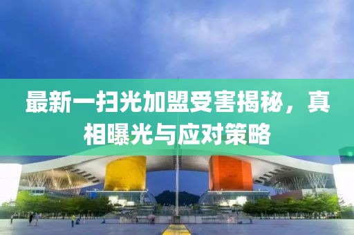 最新一掃光加盟受害揭秘，真相曝光與應(yīng)對策略