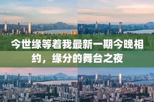 今世緣等著我最新一期今晚相約，緣分的舞臺(tái)之夜