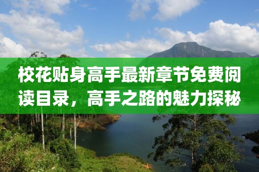?；ㄙN身高手最新章節(jié)免費(fèi)閱讀目錄，高手之路的魅力探秘