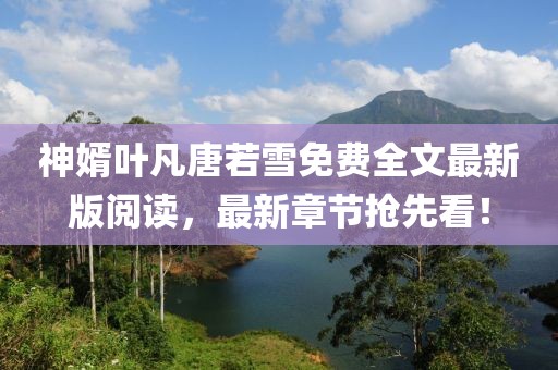 神婿葉凡唐若雪免費(fèi)全文最新版閱讀，最新章節(jié)搶先看！
