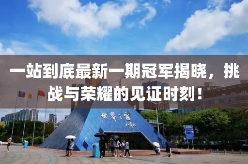 一站到底最新一期冠軍揭曉，挑戰(zhàn)與榮耀的見證時刻！