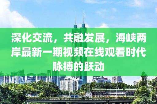 深化交流，共融發(fā)展，海峽兩岸最新一期視頻在線觀看時(shí)代脈搏的躍動(dòng)