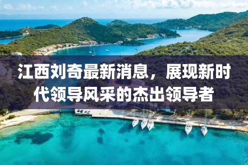 江西劉奇最新消息，展現(xiàn)新時(shí)代領(lǐng)導(dǎo)風(fēng)采的杰出領(lǐng)導(dǎo)者