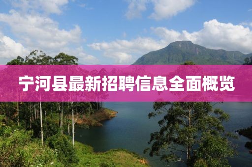 寧河縣最新招聘信息全面概覽