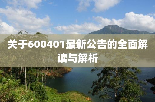 關(guān)于600401最新公告的全面解讀與解析