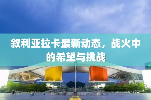 敘利亞拉卡最新動(dòng)態(tài)，戰(zhàn)火中的希望與挑戰(zhàn)