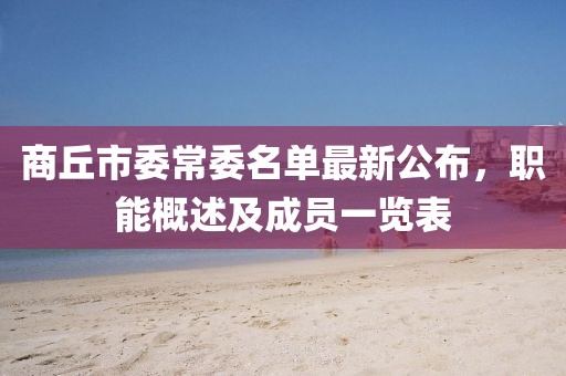 商丘市委常委名單最新公布，職能概述及成員一覽表