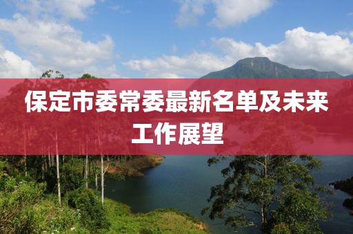 保定市委常委最新名單及未來工作展望