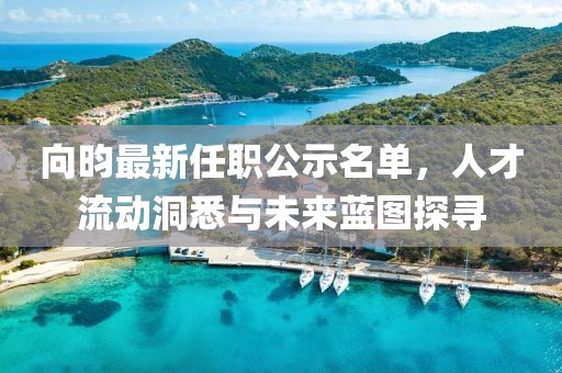 向昀最新任職公示名單，人才流動洞悉與未來藍圖探尋