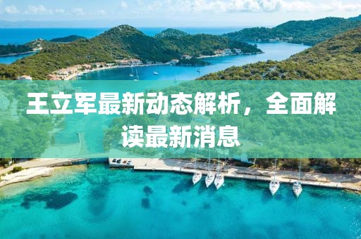 王立軍最新動態(tài)解析，全面解讀最新消息