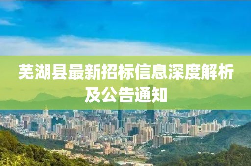 蕪湖縣最新招標(biāo)信息深度解析及公告通知